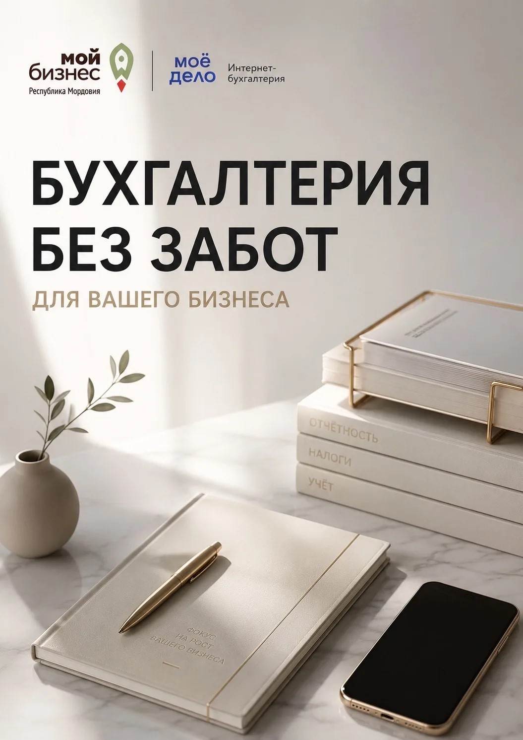Реализация в Мордовии национальных проектов, предложенных Президентом России.  Предпринимателям Мордовии стали доступны специальные условия на бухгалтерские услуги